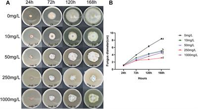 Effect of Zinc Oxide Nanoparticles on the Growth of Malus hupehensis Rehd. Seedlings